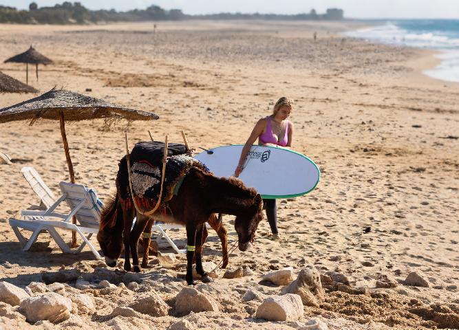 mouja-wave-surf-day-trip-essaouira-best-experience-in-essaouira-8.jpeg